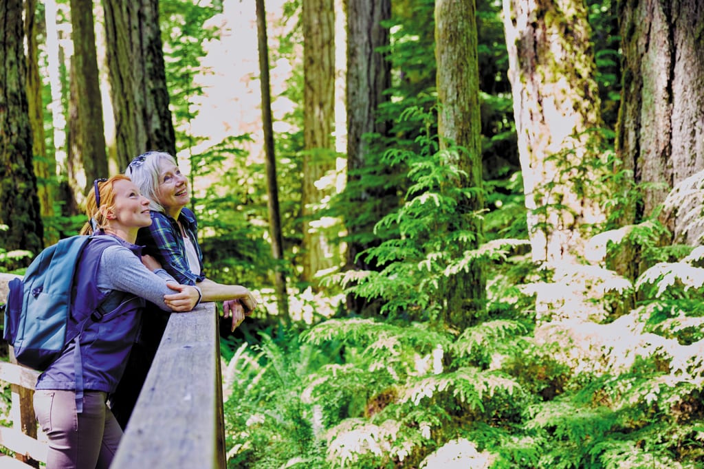 Two women look up at the trees while standing on a wooden boardwalk in a lush forest.