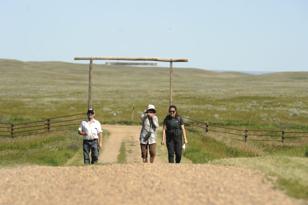 Three people walk along a dirt path through a grassy prairie landscape under a wooden archway.