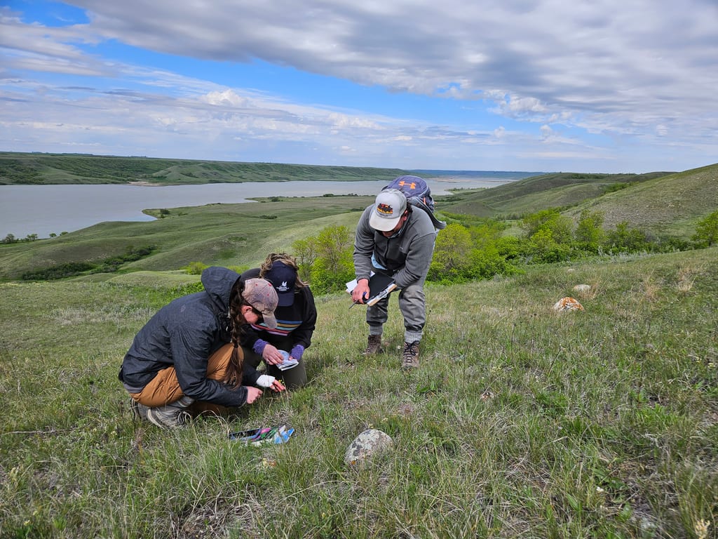 Three people conduct fieldwork in a grassy landscape overlooking a lake.