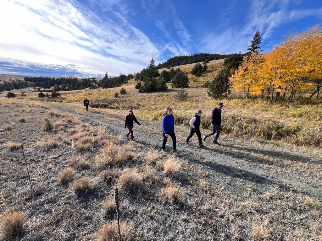 Four people walk along a dirt path in a hilly landscape with yellow autumn trees.