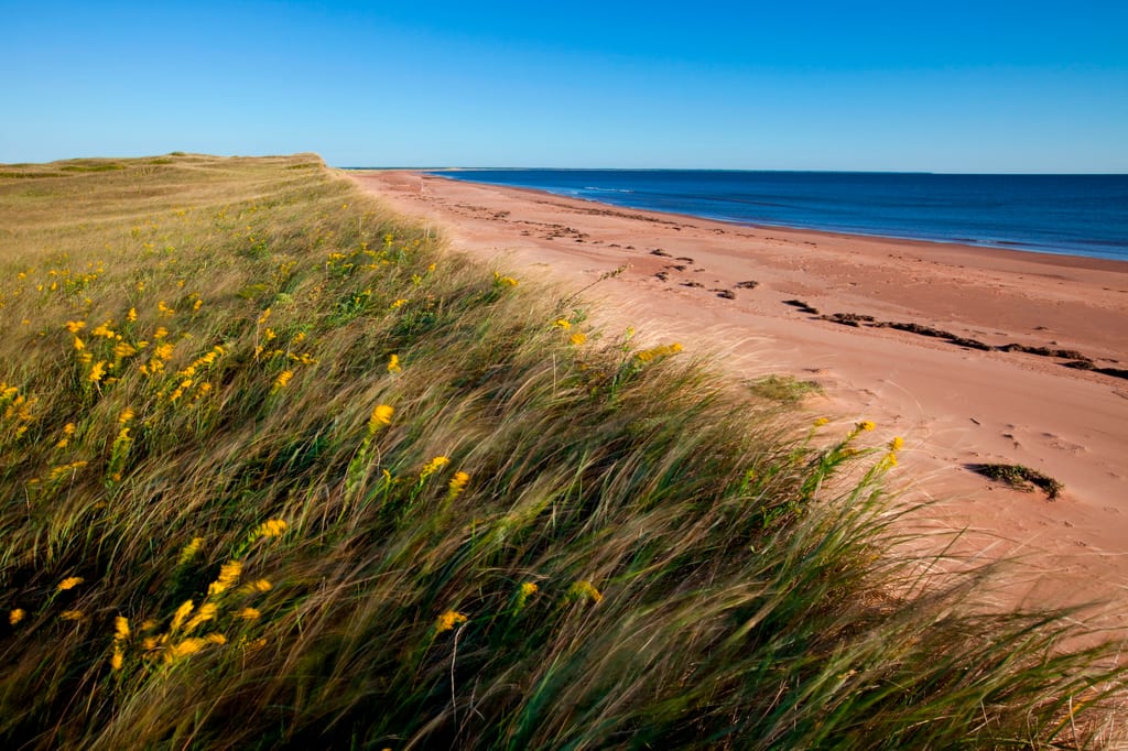 sand hills, Conway Narrows, Prince Edward Island, Nature Conservancy of Canada