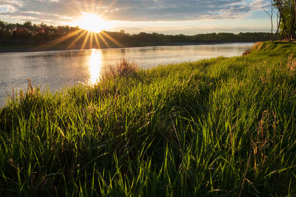 A sunburst shines over a river and lush green grass at sunset.