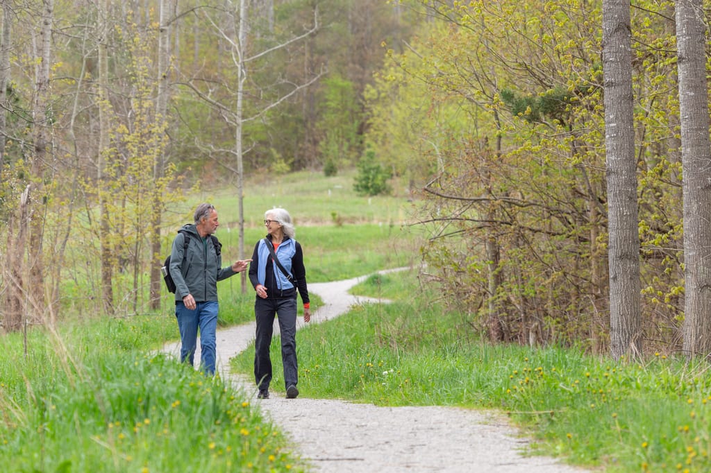 Two people walk along a gravel path through a green forest in spring.
