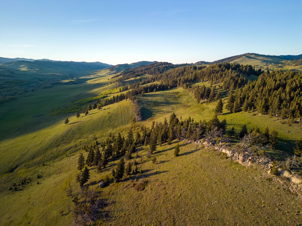 A landscape of rolling green hills and coniferous forests under a clear blue sky.