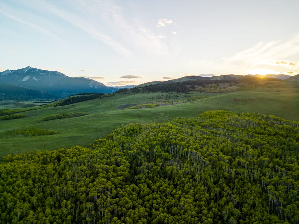A dense forest and rolling green hills stretch toward distant mountains at sunset.