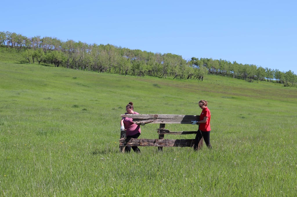 Two people carry a wooden structure across a green meadow.