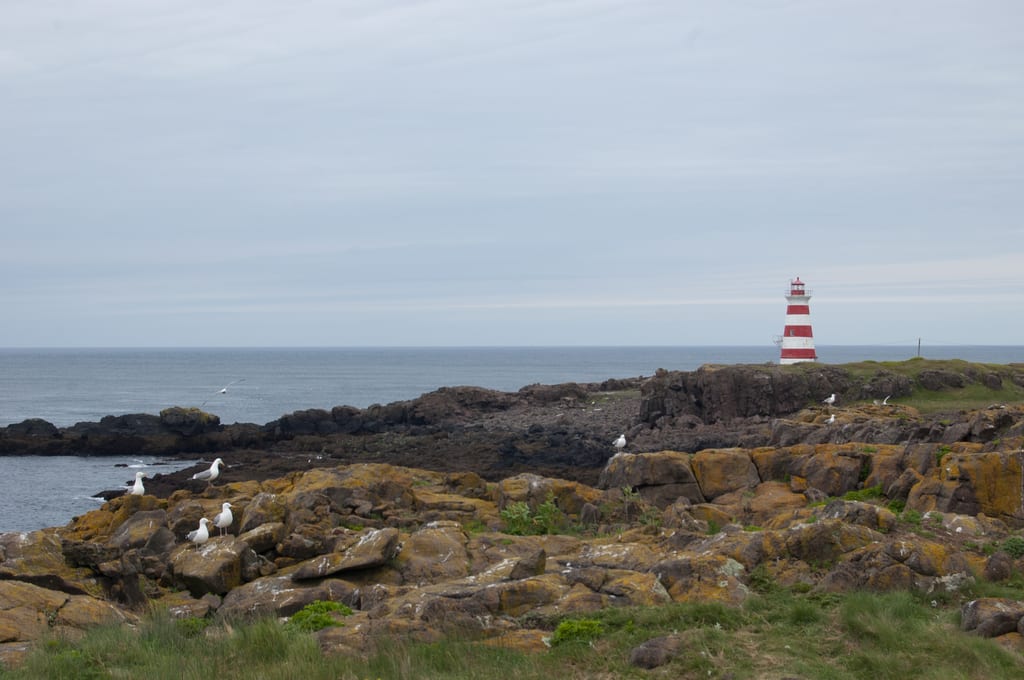 Several seagulls rest on the rocky coastline near a red and white striped lighthouse.