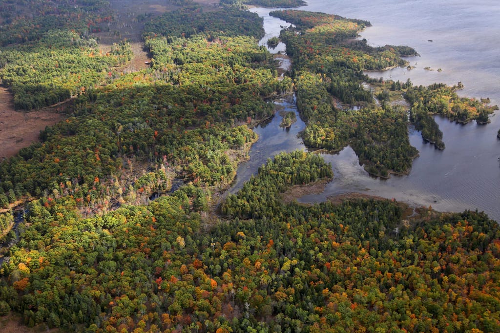 An aerial view of a forest with autumn colors surrounding islands and inlets in a body of water.