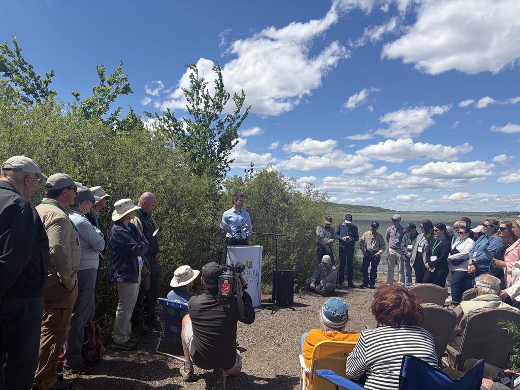 A group of people gathers for an outdoor presentation in a hilly landscape under a blue sky.
