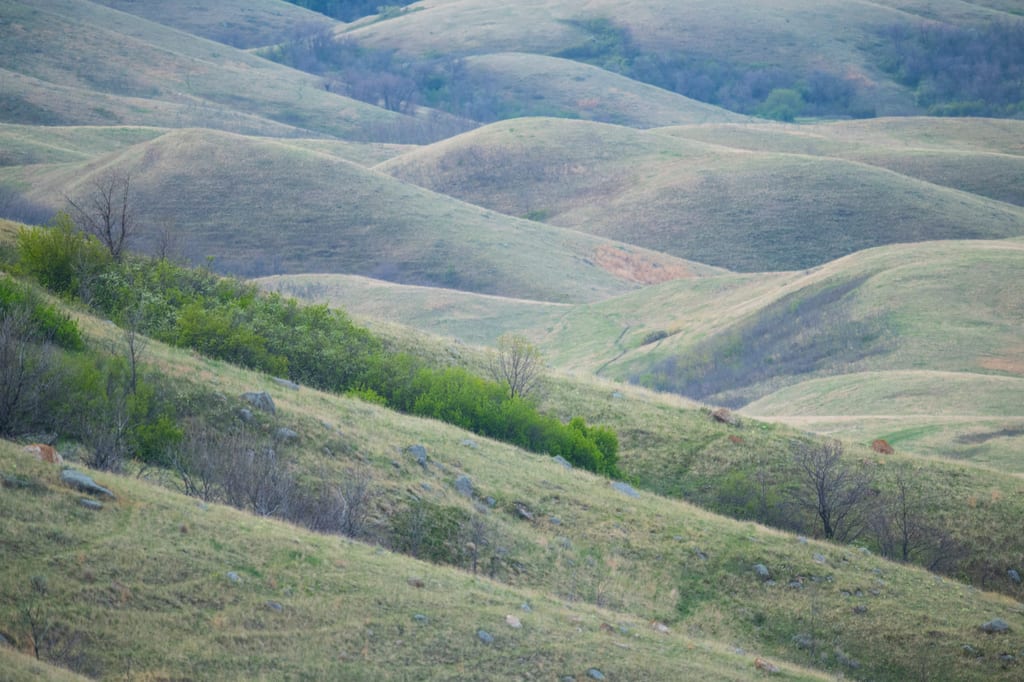 Rolling grassy hills with scattered shrubs.