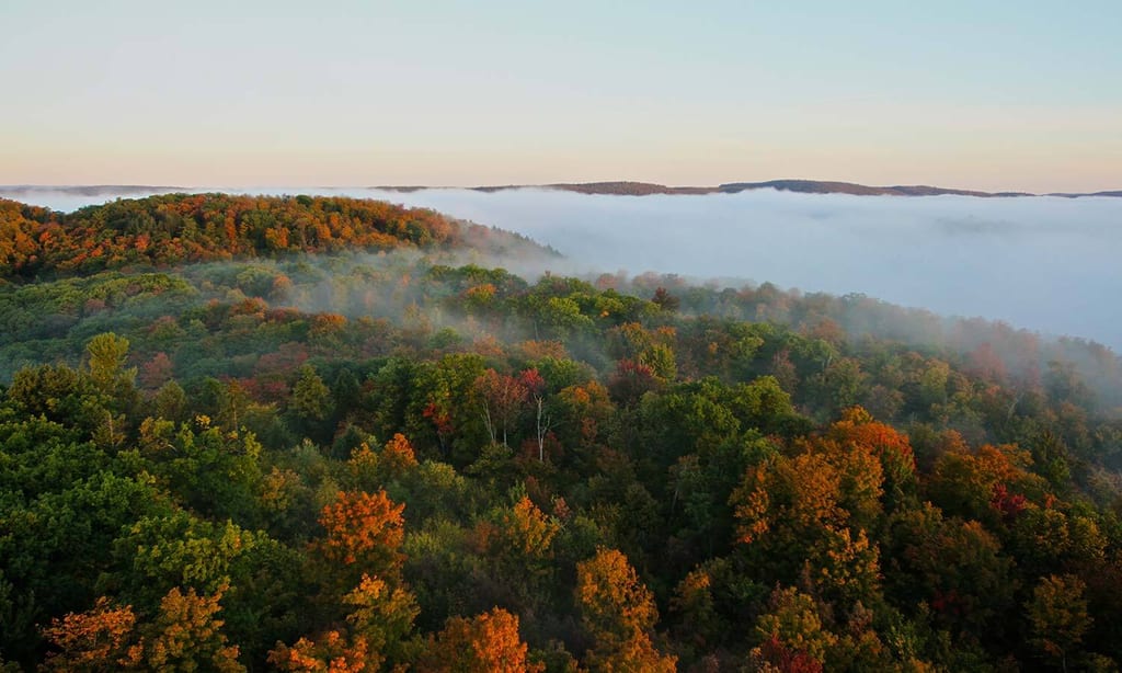 A view of a colorful autumn forest with mist rolling through the trees.