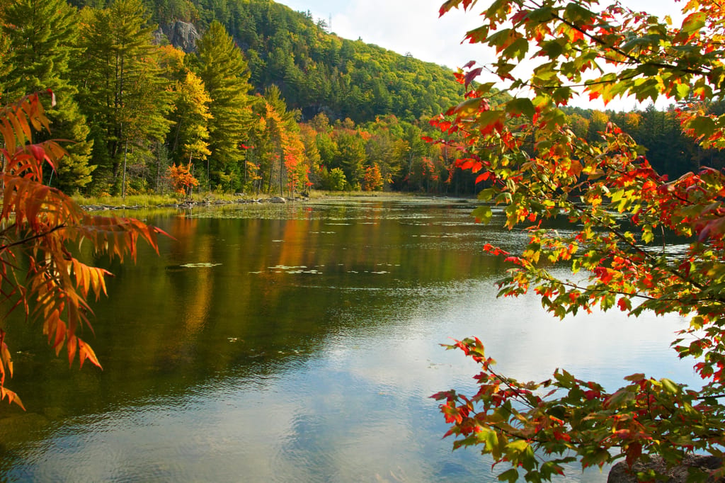 A calm lake reflects the colorful autumn foliage of the surrounding forest.