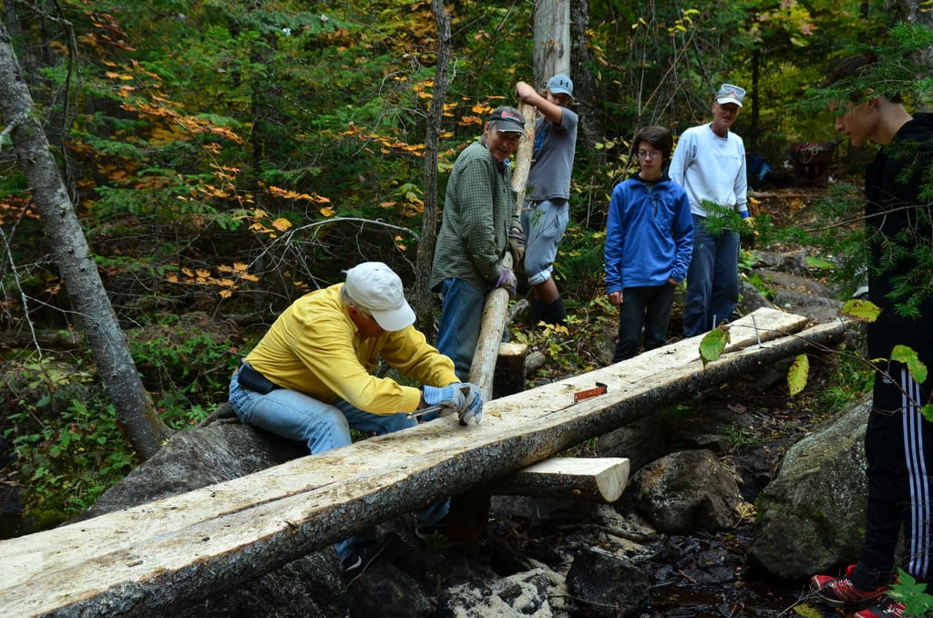 A group of people work with large logs in a forest during the autumn season.
