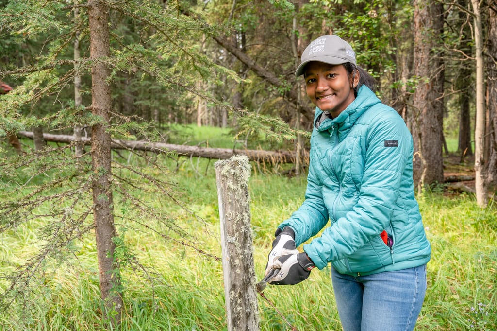 A person in a teal jacket and cap uses a tool on a wooden post in a forest.