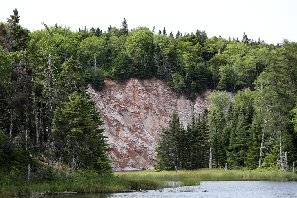 A rocky cliff face rises from a dense green forest beside a calm body of water.