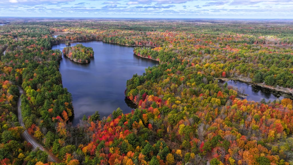An aerial view of a lake surrounded by a forest with colorful autumn foliage.