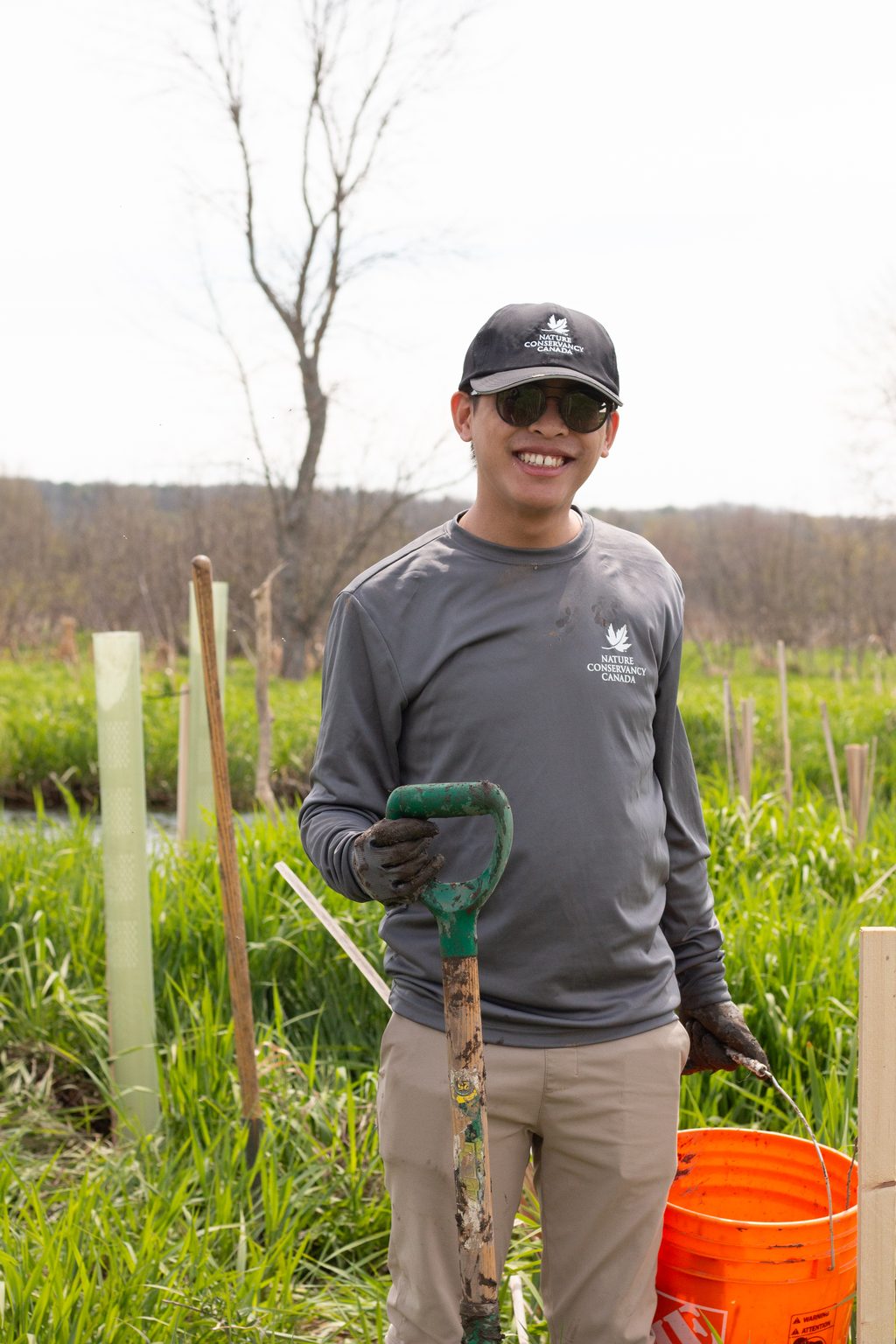 A man wearing a long-sleeved shirt and cap holds a shovel near young saplings in a field.