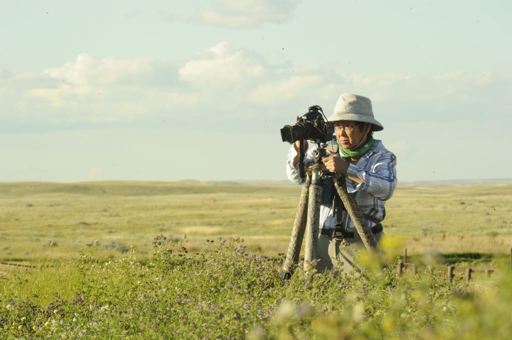 A person uses a camera on a tripod in a vast grassland landscape.