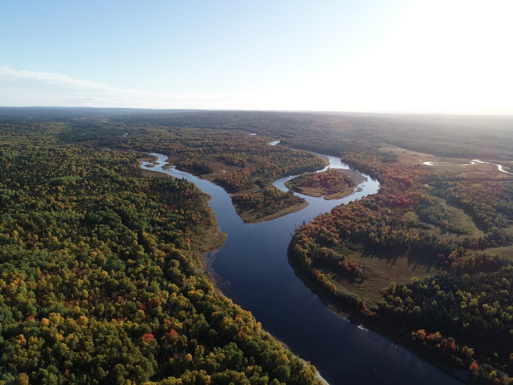 An aerial view of a river winding through a forest with autumn foliage.
