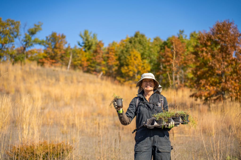 A person holds a tray of seedlings in a field of dry grass with autumn trees in the background.
