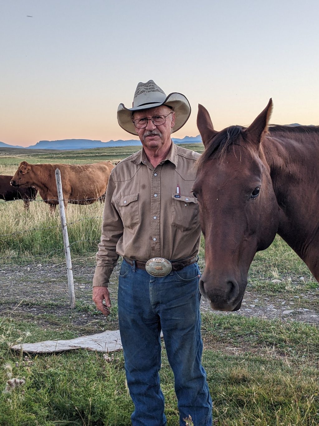 A man in a cowboy hat stands next to a horse in a field at dusk.