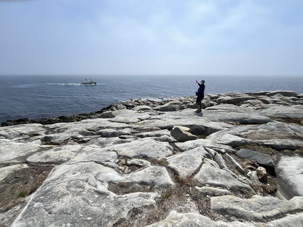 A person stands on a rocky coastline looking out at a boat on the ocean.