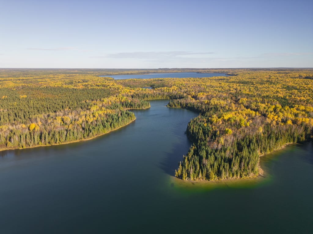 An aerial view of a river winding through a forest with autumn colors.