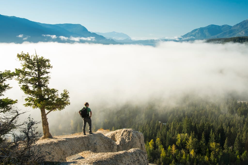 A person stands on a rocky outcrop overlooking a misty valley and a coniferous forest.