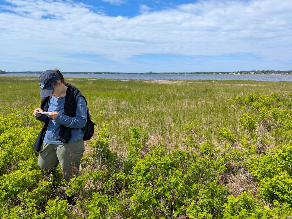 A person takes notes while standing in a grassy wetland area near a large body of water.