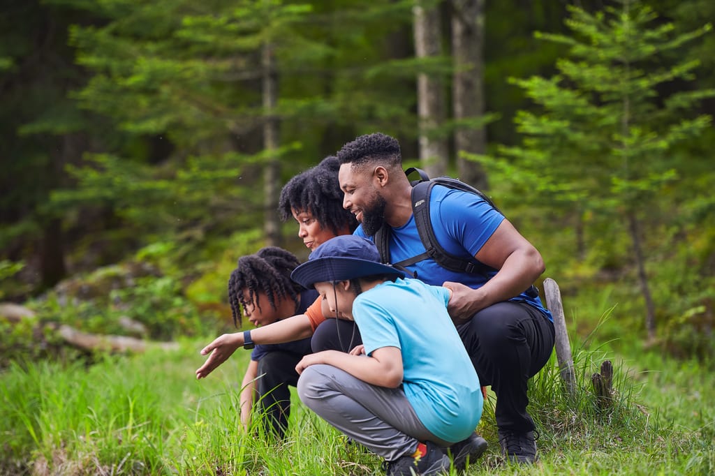 Alfred-Kelly Nature Reserve, QC (Black Box Productions)