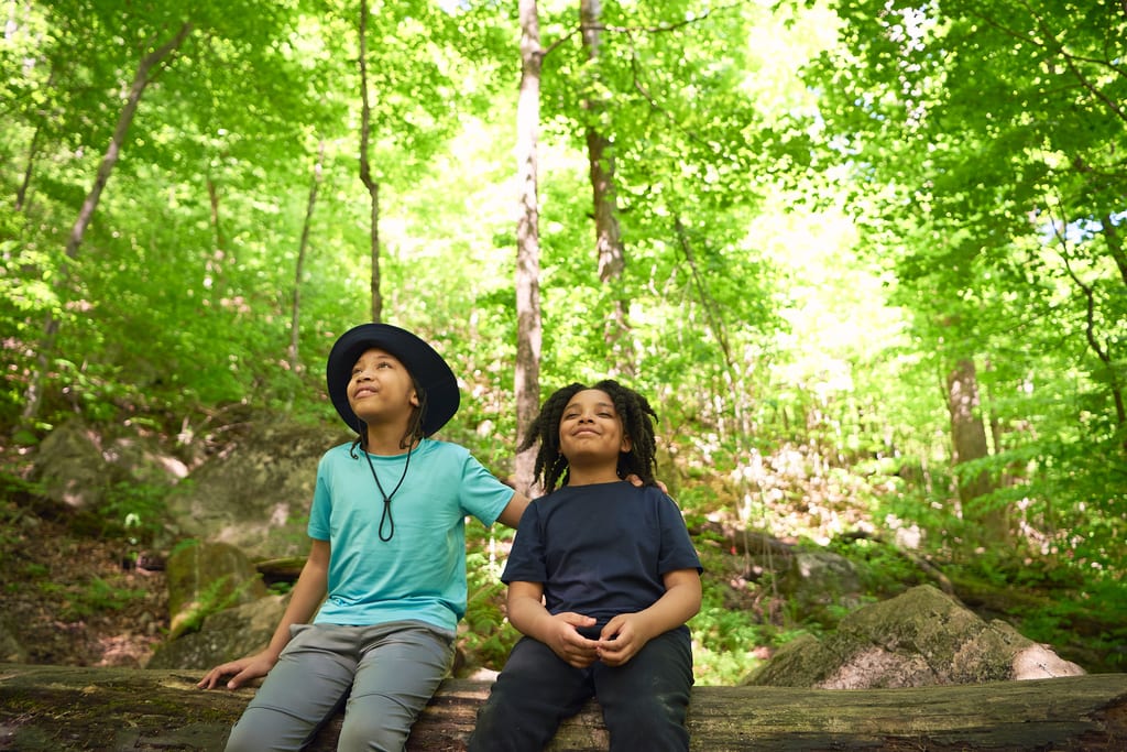 Two children sit on a fallen log in a lush green forest, looking up at the trees.