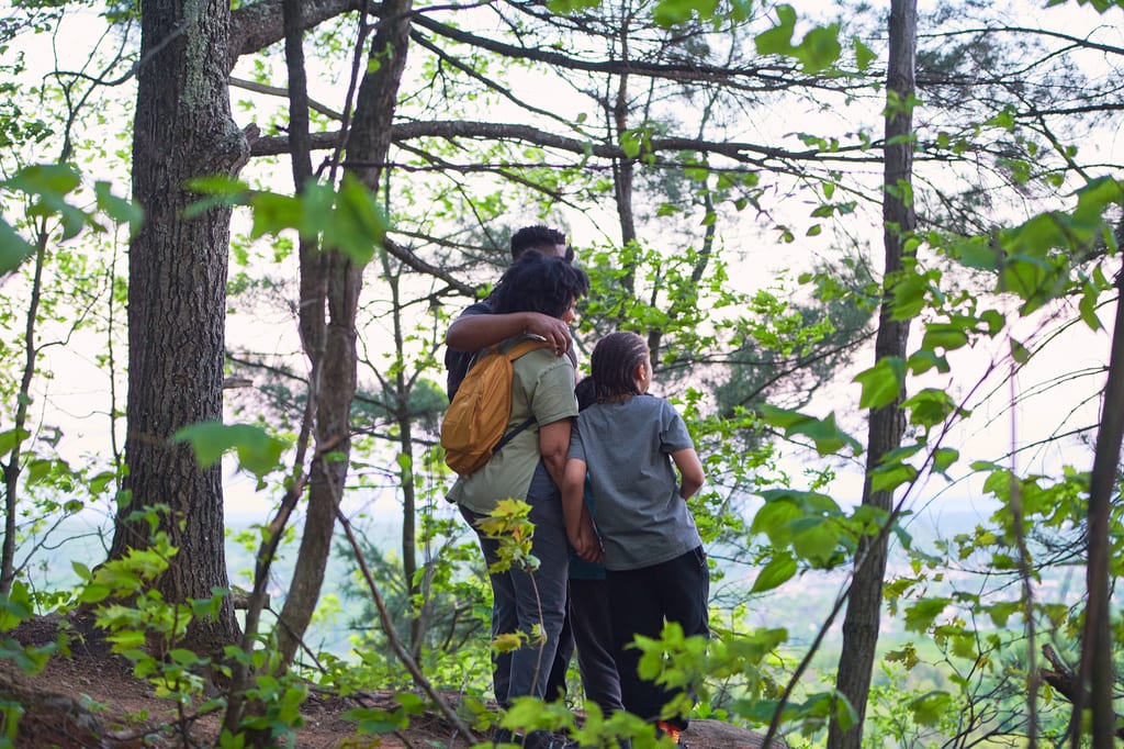 A group of people stands in a lush green forest looking out over a scenic view.