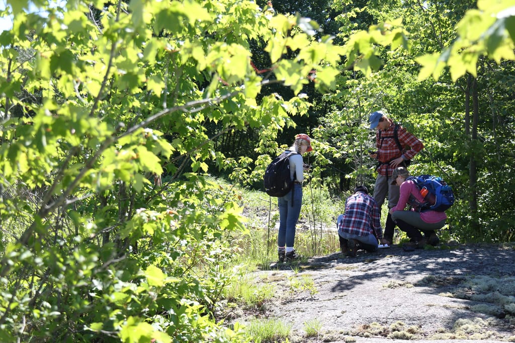 Field work, Emma Young Property, Frontenac Arch, ON (Photo by Mike Dembeck)