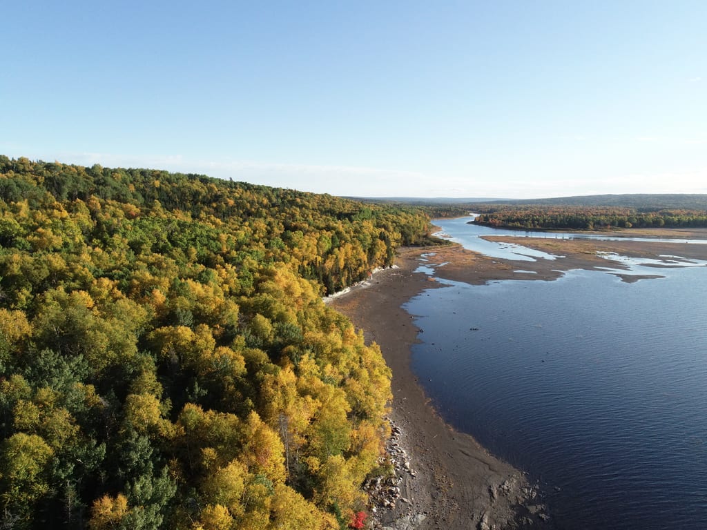 A dense forest with autumn colors lines the shore of a large lake.