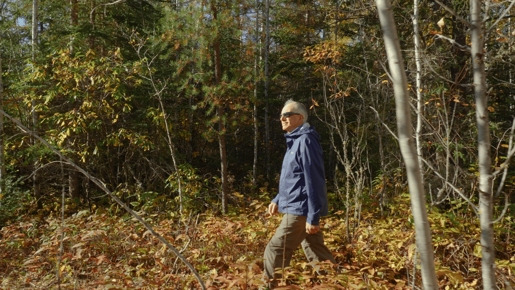 A man walks through a forest with autumn foliage.