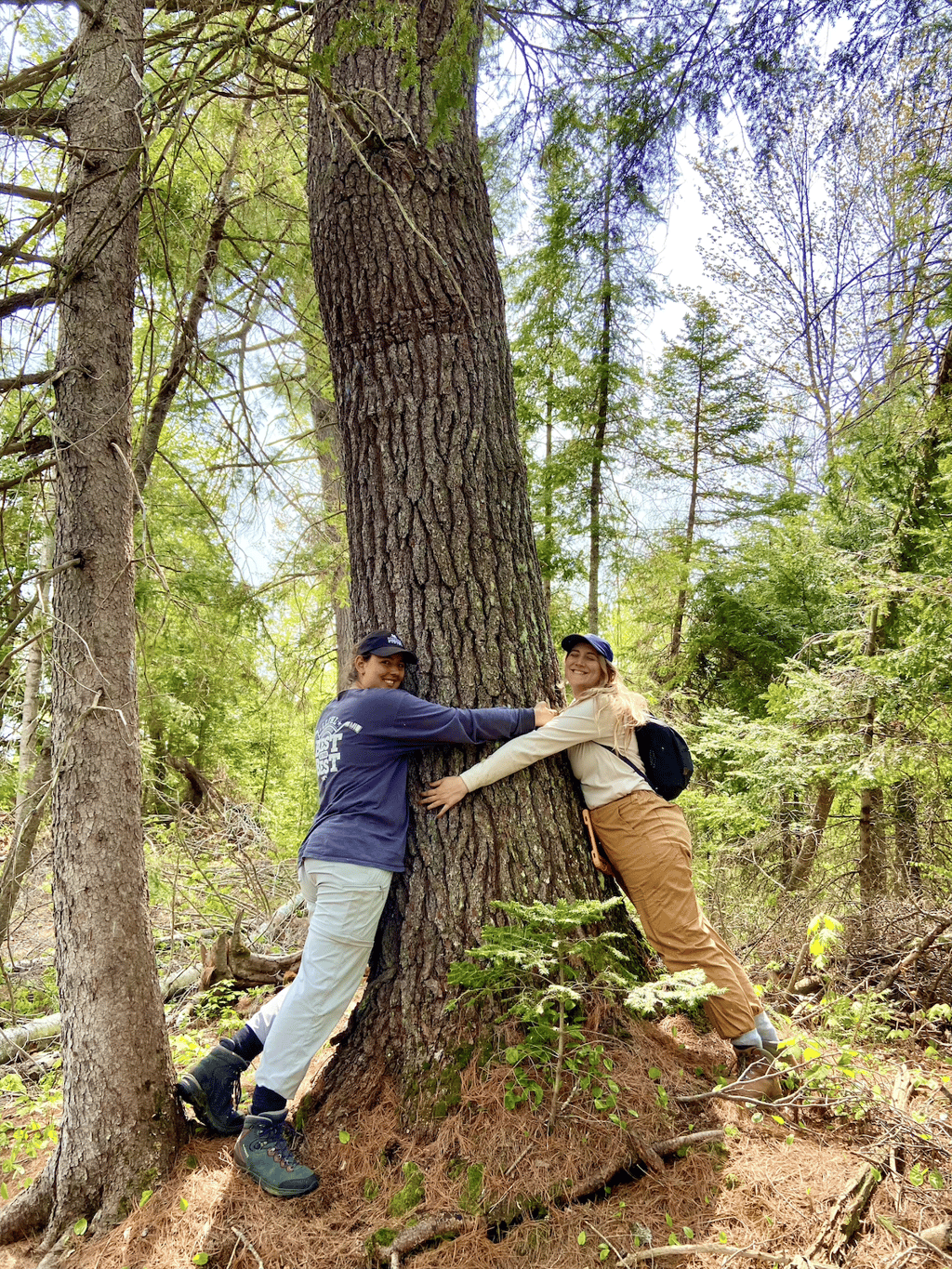 Two NCC staff members lean against a large tree in a forest.