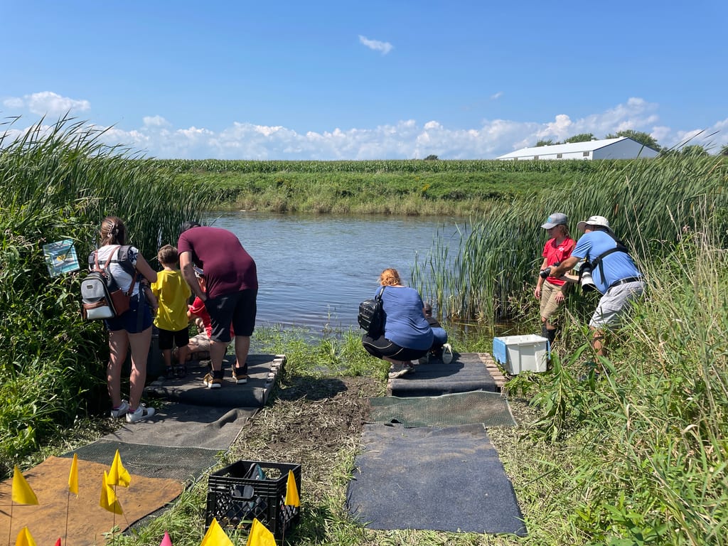 A group of people observe a small pond surrounded by tall grasses in a wetland habitat.
