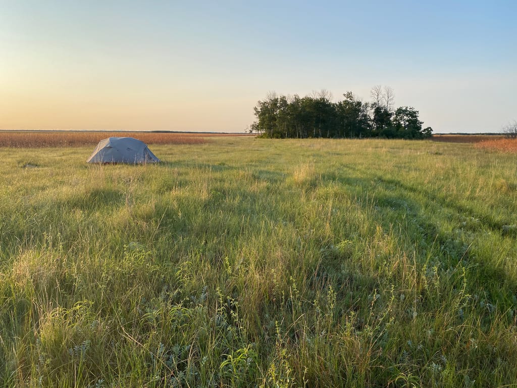 A grey tent is pitched in a grassy meadow near a small grove of trees.