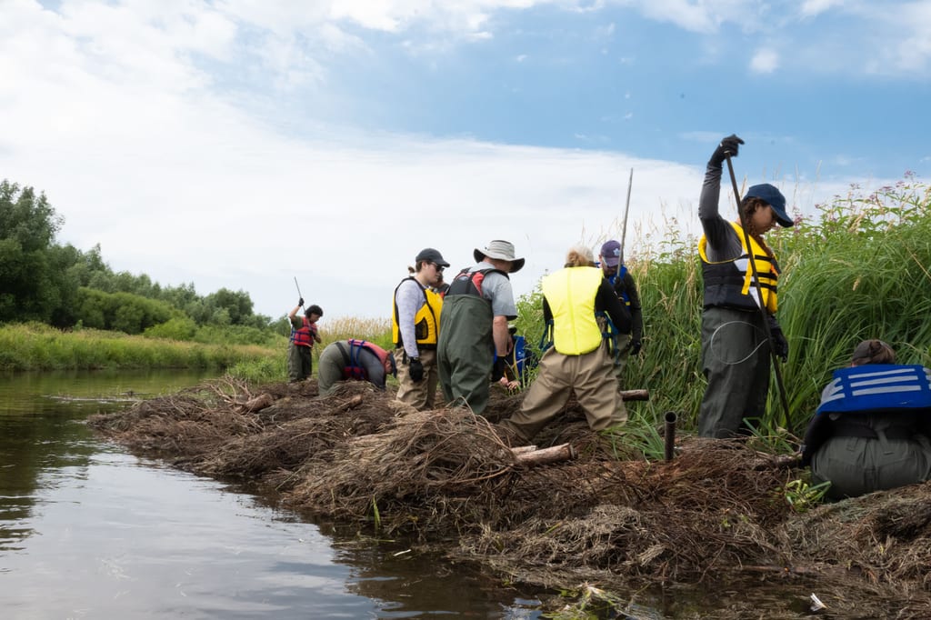 People in life jackets and waders work on a riverbank near tall grasses.