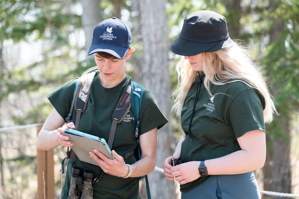 Two Nature Conservancy of Canada staff members look at a tablet in a forest.