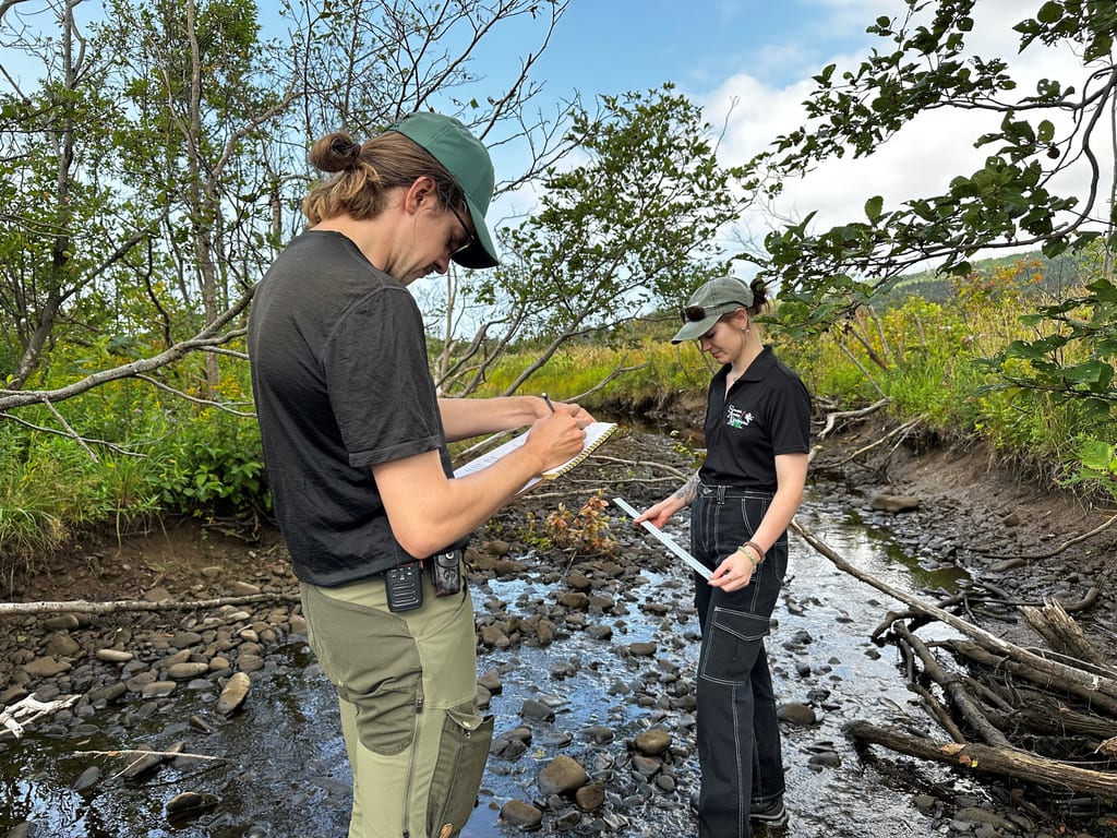Two people conduct field research by a shallow, rocky stream in a wooded area.