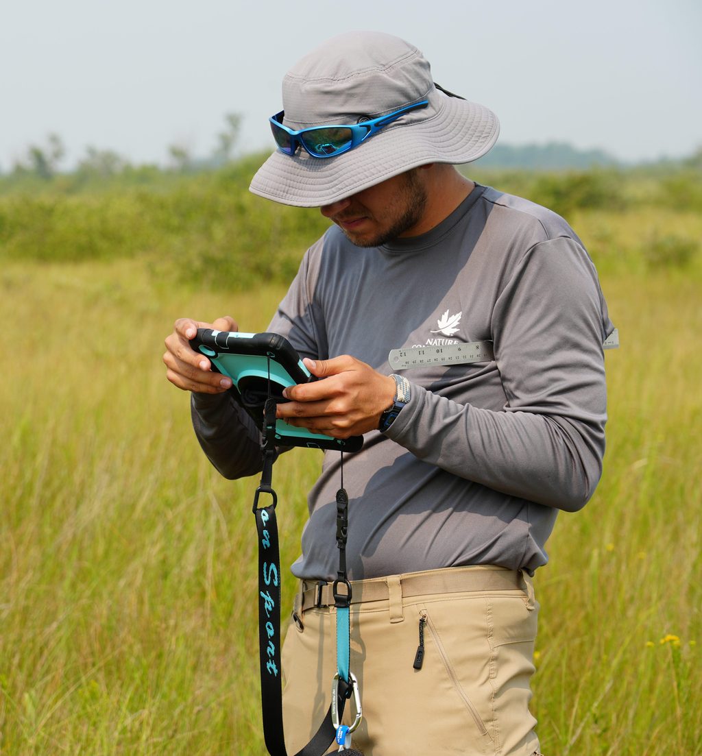 A member of NCC staff in a sun hat uses a smartphone in a meadow.