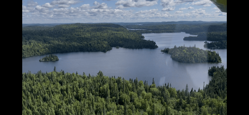 An aerial view of a large lake surrounded by dense green forests and small islands under a cloudy sky.