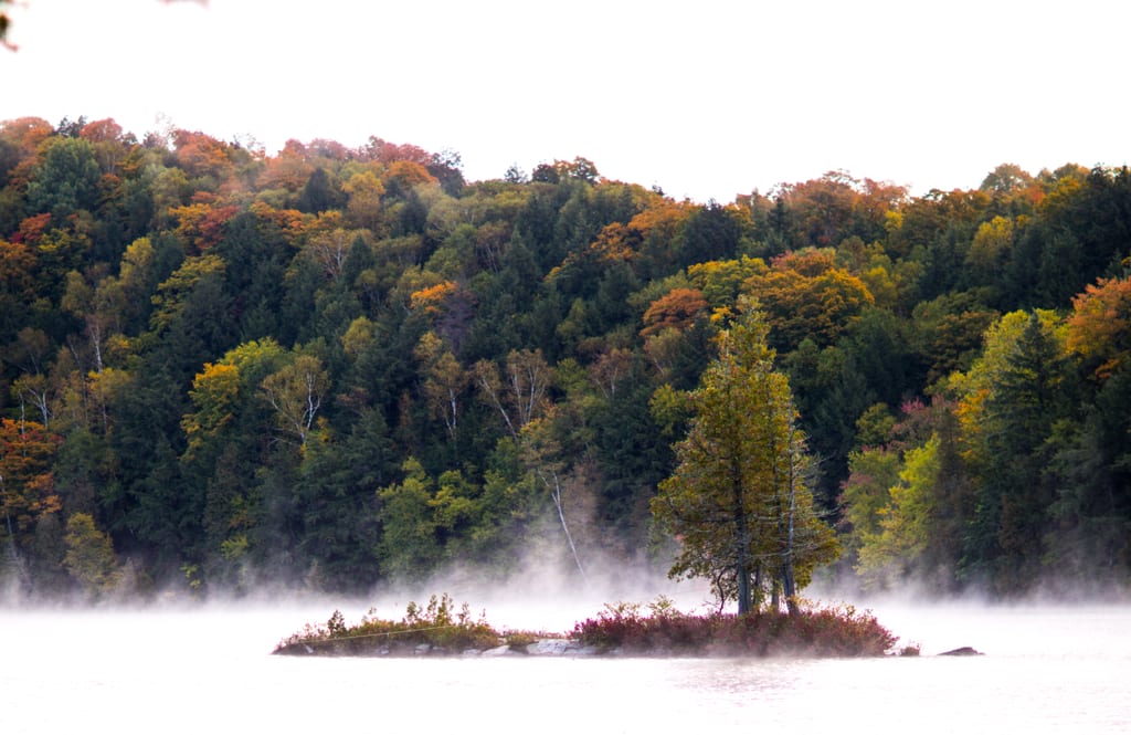 A small island with trees sits in a misty lake against a backdrop of colorful autumn forest.