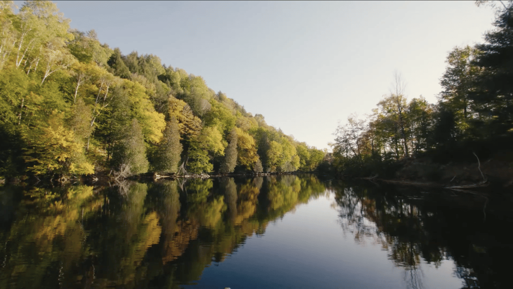 A calm river reflects the colorful autumn trees of a dense forest.