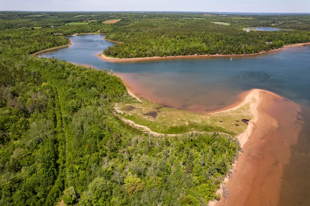 An aerial view of a river winding through a lush green forest with reddish sand banks.