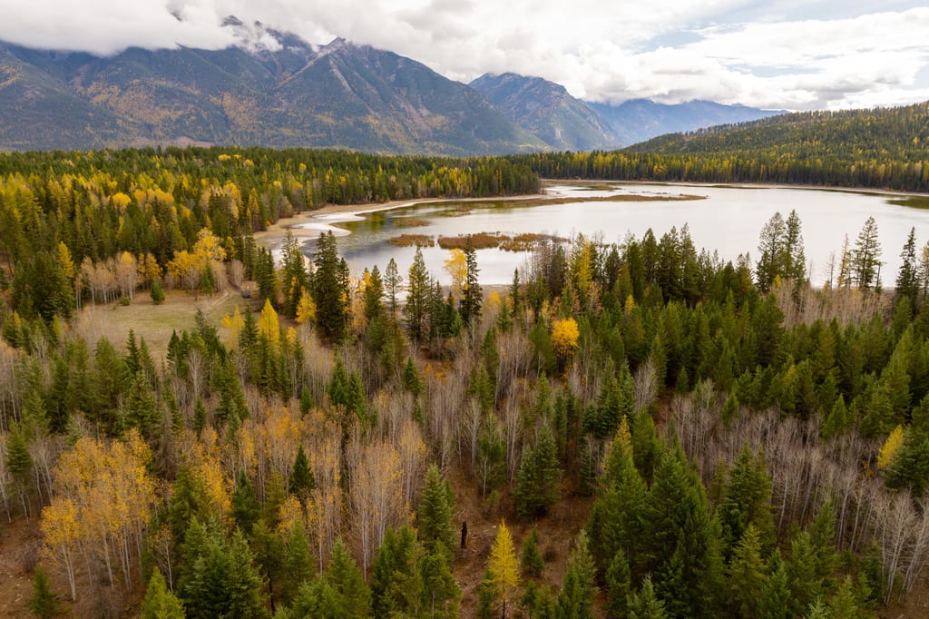 A lake surrounded by a forest with autumn colors and mountains in the background.
