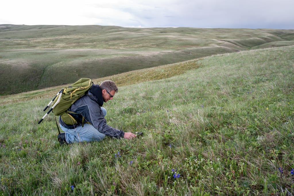 A man with a backpack crouches in a grassy meadow on a rolling hillside.