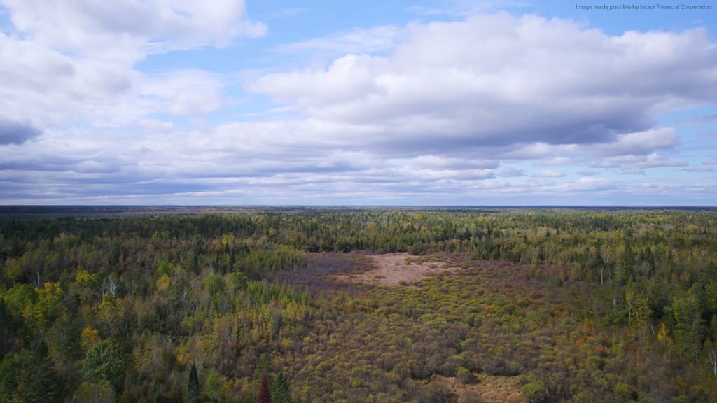 An aerial view of a forest landscape with a clearing under a cloudy sky in autumn.