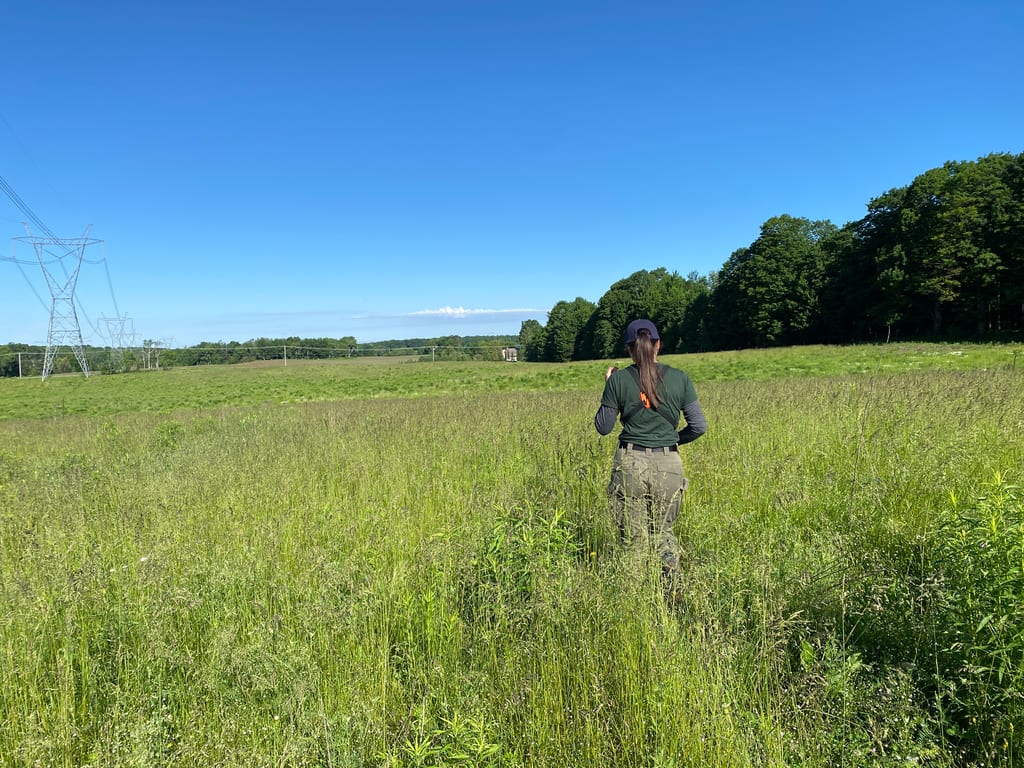 A person walks through a grassy meadow under a clear blue sky.